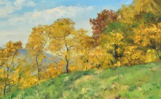 Sárdy Brutus (1892-1970): Napfényes hegyoldal. Olaj, vászon, jelezve balra lent, vakráma nélkül, 42x...