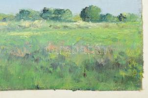 Sárdy Brutus (1892-1970): Napsütötte táj. Olaj, vászon, kartonra kasírozva, jelezve balra lent, 29,5...