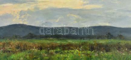 Sárdy Brutus (1892-1970): Felhős táj. Olaj, vászon, jelzés nélkül, vakráma nélkül, 42,5x56 cm