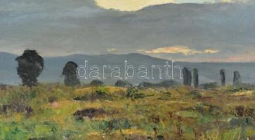 Sárdy Brutus (1892-1970): Felhős hegyvidék. Olaj, vászon, jelzés nélkül, vakráma nélkül, 35,5x53,5 c...