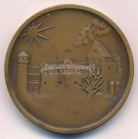 Csúcs Ferenc (1905-1999) 1969. "Budapesti Éremgyűjtők Egyesülete" kétoldalas bronz emlékér...