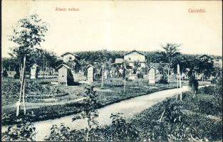 Gödöllő Állami méhes