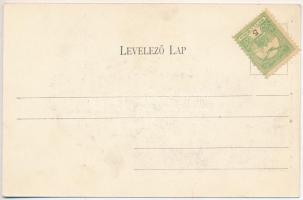 Csucsa, Ciucea; Boncza kastély. Ferencz és társa kiadása / castle