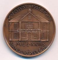 Tóth Sándor (1933-2019) / Szabó Géza (1939-2018) 1993. "Rippl-Rónai József 1861-1927 / MÉE XXII...