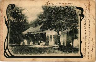 1903 Gavosdia, Krassókövesd, Gavojdia; kastély, kúria. Skolik Károly fényképész / castle, villa. Art Nouveau (fl)