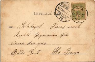 1903 Gavosdia, Krassókövesd, Gavojdia; kastély, kúria. Skolik Károly fényképész / castle, villa. Art...