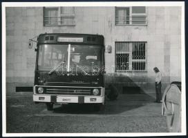 cca 1975 A Budapesti Elektromos Művek Ikarus 211 típusú autóbusza, fotó, jó állapotban, 12x8,5 cm