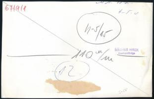 1967 Szürkemarhák, sajtófotó, a hátoldalon feliratozott, pecséttel jelzett, 22,5x14,5 cm