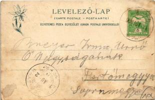 1908 Felka, Velká (Poprád, Magas-Tátra, Vysoké Tatry); Út és templom, nyaraló E. M. Krompecher fiai ...