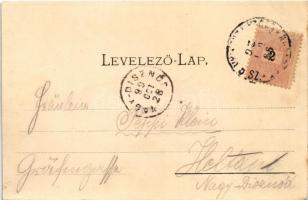 1899 (Vorläufer) Szászváros, Broos, Orastie; utca, F. Eisenmenger üzlete. H. Graef kiadása / street ...