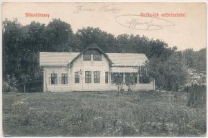 1912 Bihardiószeg, Diosig; Szőke lak erdő részlettel. Deutsch József kiadása / villa, forest (EK)