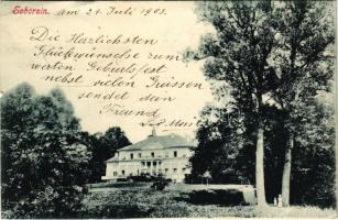 1903 Soborsin, Savarsin; Gróf Hunyadi kastély / castle (EK)
