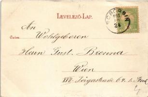 1903 Soborsin, Savarsin; Gróf Hunyadi kastély / castle (EK)