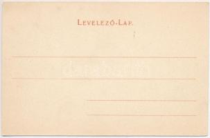 1906 Kézdivásárhely, Targu Secuiesc; Fő tér déli oldala, Wertan Testvérek, K. Csiszár József, Sera I...