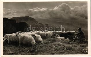 1941 Nagyhagymás, Nagy-Hagymás, Muntii Hasmas, Hasmasul Mare; Csíki havasokból csángó pásztor. Andory Aladics Zoltán mérnök felvétele / Csango shepherd from the mountains