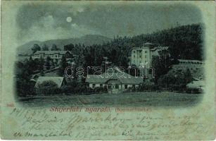 1899 (Vorläufer) Stájerlak, Steierlak, Stájerlakanina, Steierdorf, Anina; nyaraló / Sommerfrische / spa, villa (EB)