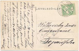 1910 Beszterce, Bistritz, Bistrita; látkép. Bartha Mária kiadása / general view (ázott / wet damage)