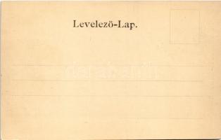 Verespatak, Goldbach, Rosia Montana; Kirnyik, aranybánya. Dunky Fivérek cs. és kir. fényképészek műt...