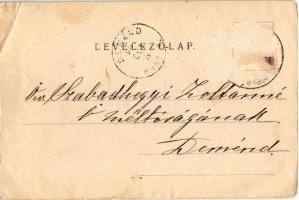 1901 Szántó, Santovka; Szántói savanyúvíz forrás, templom a parkban. Divald Károly / church (Rb)