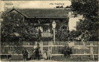 1909 Tarcsa, Bad Tatzmannsdorf; Villa Vogelsang (Rb)