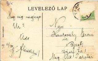 1909 Tarcsa, Bad Tatzmannsdorf; Villa Vogelsang (Rb)