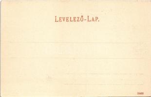 1905 Borszék, Borsec; látkép, villa / Teilansicht / spa, villa