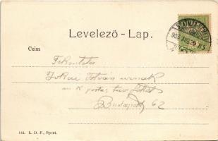 1906 Szatmárnémeti, Szatmár, Satu Mare; Vasúti pályaudvar, vasútállomás. Hollósi felvétele. L.D.F. 1...