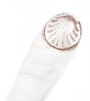 Antik ezüst nagykanál Pozsony-Váralja, 1858 FB mesterjeggyel 69 g