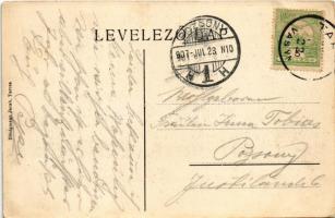 1907 Tarcsa, Tarcsafürdő, Bad Tatzmannsdorf; Karolina Villa este, Vízgyógyintézet. Hönigmann Jacab k...