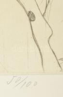 Varga Imre (1923-): Psalmus. Rézkarc, papír, jelzett, számozott (50/100), üvegezett fakeretben, 39x2...