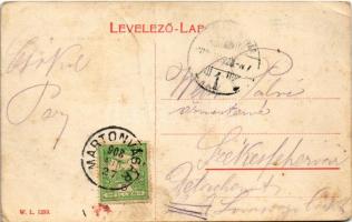 1908 Martonvásár, Állami elemi iskola. W.L. 1299. (fa)