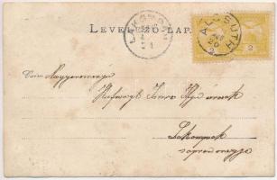 Alcsút, Főhercegi kastély. photo (fa)