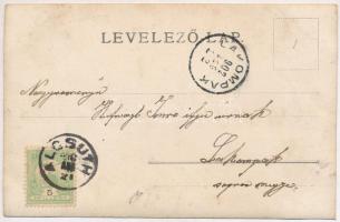 1902 Alcsút, Főhercegi kastély. photo (fl)