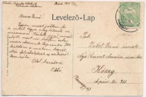 1910 Bük, Bück; Petresitcs vízimalom, orvoslak, Thiering György üzlete. Steegmüller műintézete kiadá...