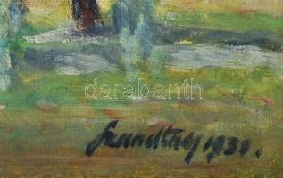 Olvashatatlan jelzéssel: Távolban a kék hegyek, 1930. Olaj, karton. Dekoratív, sarkaiban kissé sérül...