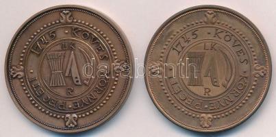 DN "Az idők viharában is fennmaradt - Környe A.D. 1238 / 1745 Köves Környe Pecéti" bronz é...