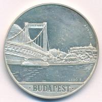 Lebó Ferenc (1960-) 1992. "Hungarian Telecommunications Company Limited / Budapest Lánchíd"...