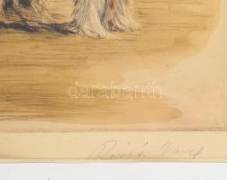 Révész Imre (1859-1945): Pipázó juhász kutyájával. Színezett rézkarc, papír, jelzett. Üvegezett, kis...