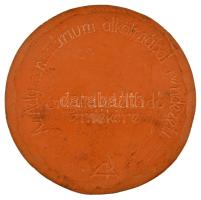 1977. "Ifjú szívekben élek 1877-1919-1977 / Az Ady centenárium alkalmából rendezett brigádvetél...