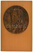 DN "Batsányi János" bronz emlékplakett (92x82mm) fa alapon. Szign.: M.I. T:AU