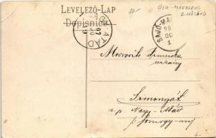 1907 Beszterce, Bistritz, Bistrita; Beszterce folyó / Bistrita river (szakadás / tear)