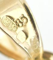 Lovas katona karddal. fotó 22x16 cm Üvegezett keretben