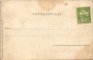 Balatonfüred, Wild Péter étterme. M. T. és F. I. Koch Willy kiadása. Erdélyi fényképész felvétele (á...