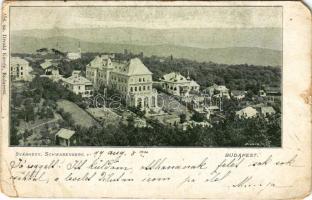 1899 (Vorläufer) Budapest XII. Svábhegy. Divald Károly 154. sz. (EM)