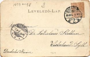 1899 (Vorläufer) Budapest XII. Svábhegy. Divald Károly 154. sz. (EM)