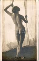 Indiscrete, Salon d'Hiver 1913, Adolphe Barnoin. ND Phot. 6525. / Erotic nude lady art postcard