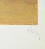 Olvashatatlan jelzéssel: Spanyol lépés (lovasiskola). Akvarell, papír. Üvegezett, dekoratív fakeretb...