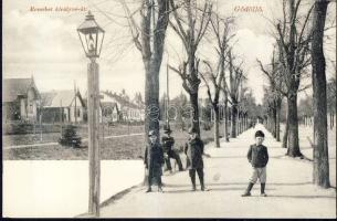 Gödöllő Erzsébet királyné út fasor