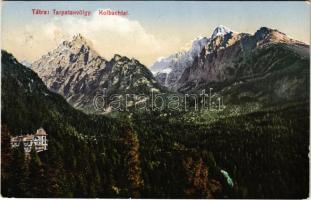 Tátra, Magas-Tátra, Vysoké Tatry; Tarpatak-völgy. Cattarino S. utóda Földes Samu kiadása / Kohlbachtal / valley (felületi sérülés / surface damage)