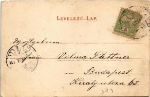 1905 Budapest I. Budai alagút (szakadás / tear)